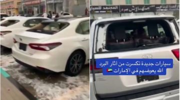 دمرت عربيات كتير … عاصفة مدمرة صاحب معرض سيارات في الامارات هو لحظة تدمير العاصمة للسيارات