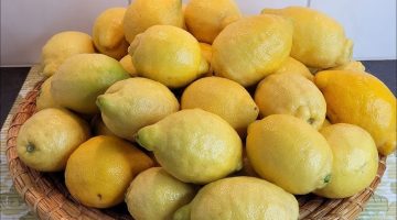 هتخزنيه من السنة لسنة … كيفية تخزين الليمون لمدة سنة بسهولة وبوقت قليل