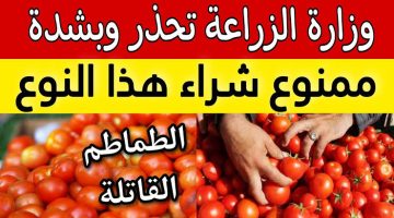 خدي بالك عشان عيالك.. وزارة الزراعة تحذر من شراء هذا النوع من الطماطم بها سم تؤدي للوفاة 
