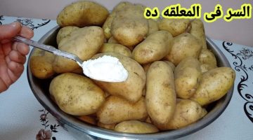 «خليكي شاطرة ولهلوبة».. طريقة “تخزين البطاطس” من السنة للسنة من غير فريزر بدون ما تبوظ منك!!