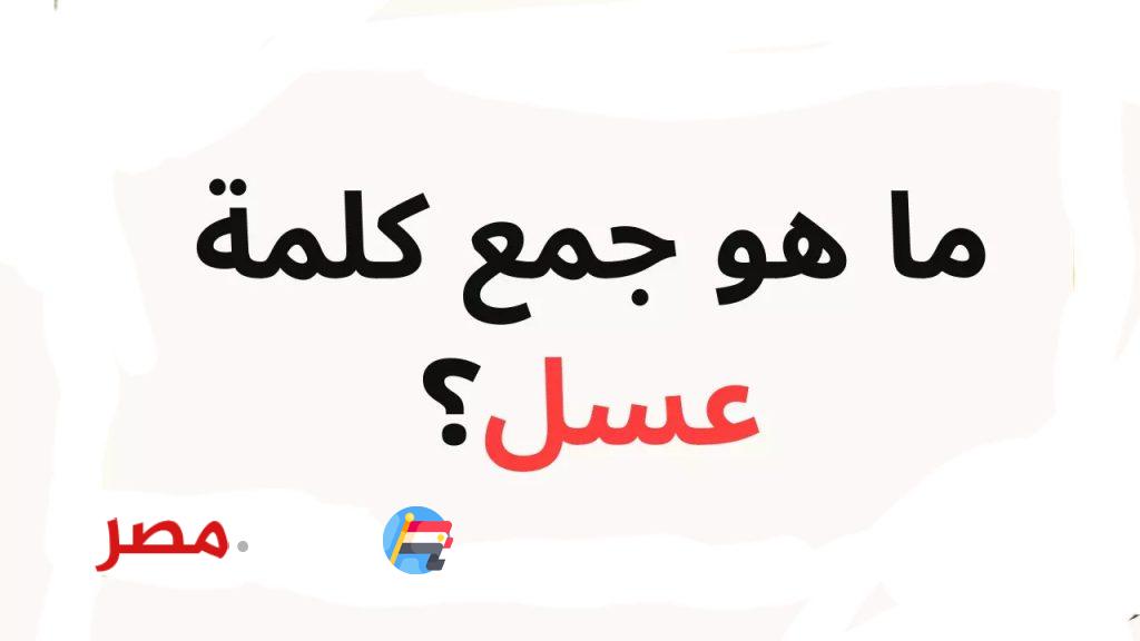 «اللغز الذي حير جميع مدرسي اللغة العربية».. هل تعرف ما هو جمع كلمة {عسل} في اللغة العربية؟