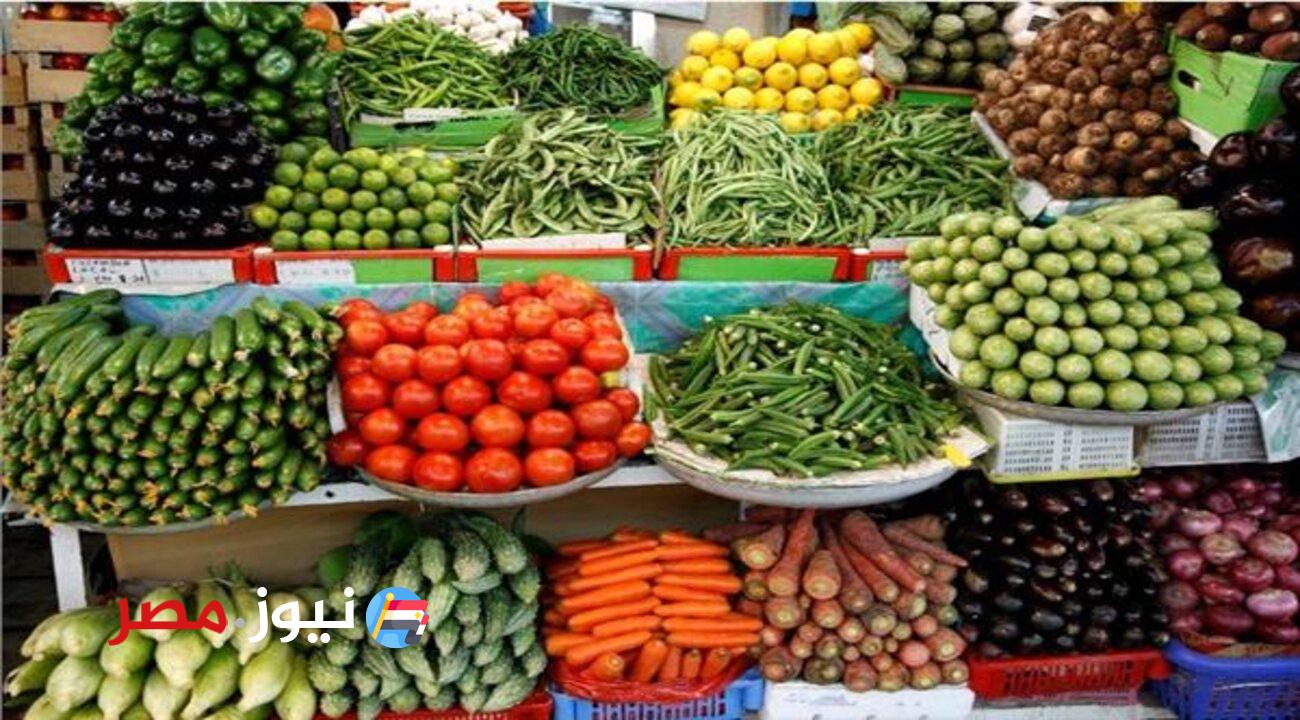 "الأسعار في النازل" أسعار الخضروات والفاكهة اليوم 2 مارس 2024 في استقرار تام