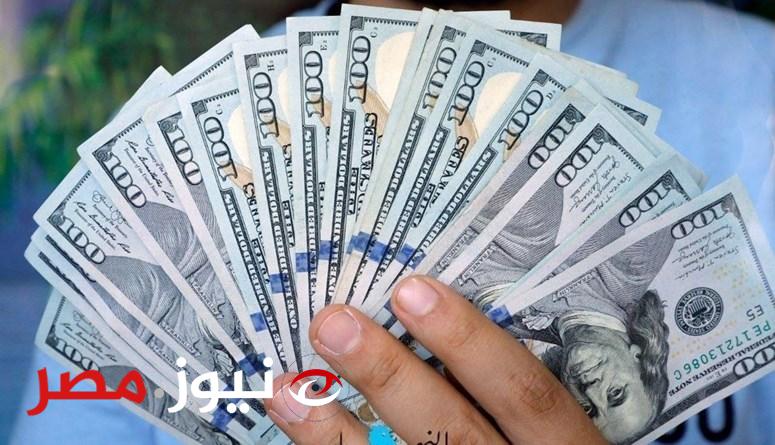 الأسعار هتنزل خالص.. متحدث الحكومة يسعد ملايين المواطنين بعد تحرير سعر الصرف