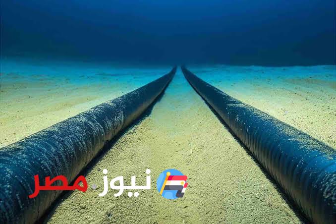 ايه البديل.. انقطاع 3 كابلات للإنترنت في البحر الأحمر  يسبب أضرار غير متوقعة