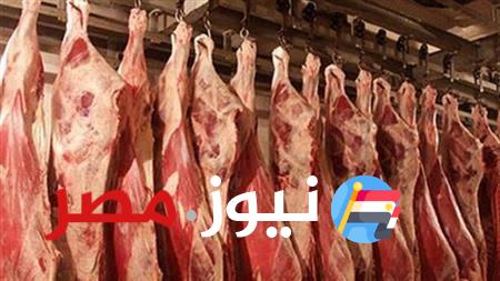 100 جنيه.. بالتزامن مع قرار المركزي تراجع أسعار اللحوم في الأسواق