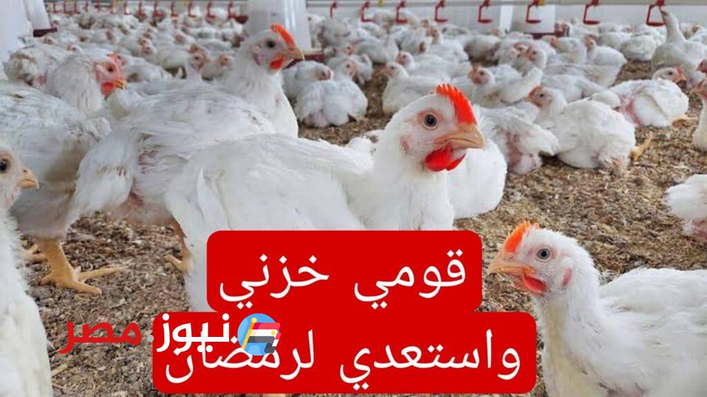 «الناس هتخزن قبل شهر رمضان»!!.. أسعار الفراخ اليوم السبت 9 مارس 2024 في المزرعة وصولاً إلى المستهلك !!