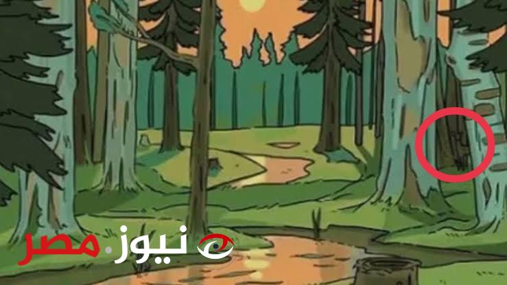 «5% بس اللي عرفوا يحلوها».. أوجد مكان الغزالة في صورة الغابة في 10 ثواني لا غير.. لغز محير للأذكياء فقط!!