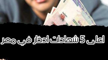 بأعلى نسبة 27 % عائد سنوي.. أفضل 5 شهادات ادخار في مصر