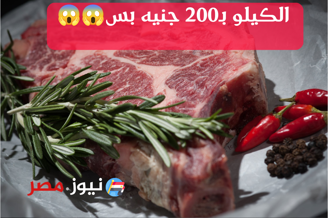 «الكيلو هيوصل 200 جنيه».. رئيس زراعة الشيوخ يفجر مفاجأة للمواطنين بشأن كيلو اللحم خلال أيام فقط!!