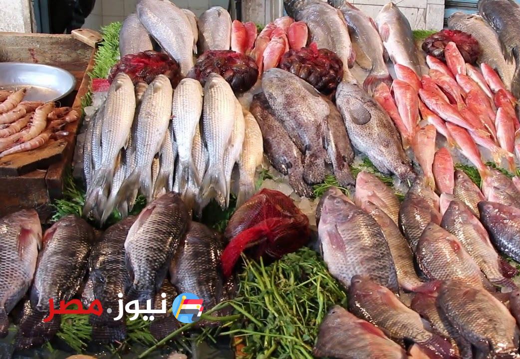 أسعار الأسماك اليوم في مصر