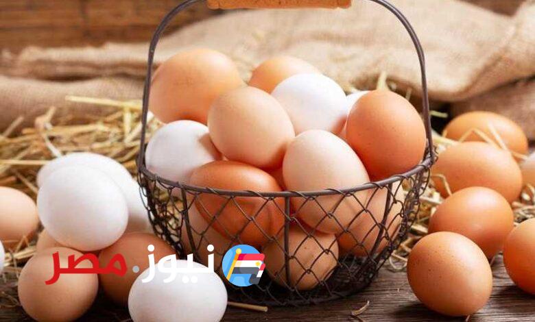 أسعار البيض اليوم في مصر