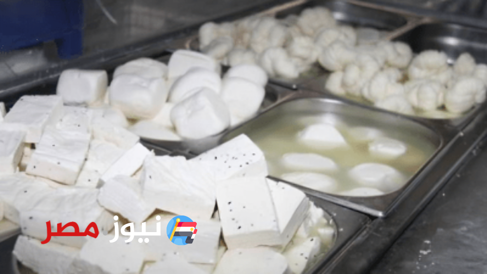 أسعار الجبن اليوم في مصر