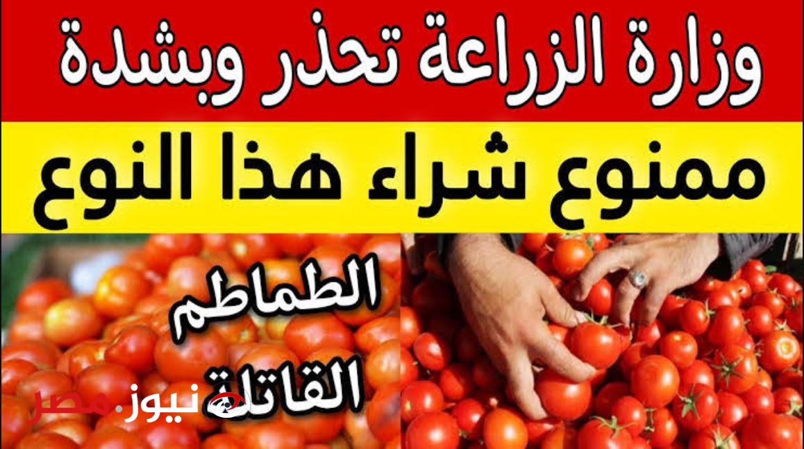“يادي الخراب”.. وزارة الصحة تحذر من شراء هذا النوع من الطماطم.. تدمر صحتك وتسبب الوفاة!!